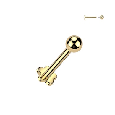Titanlabret med blommig baksida