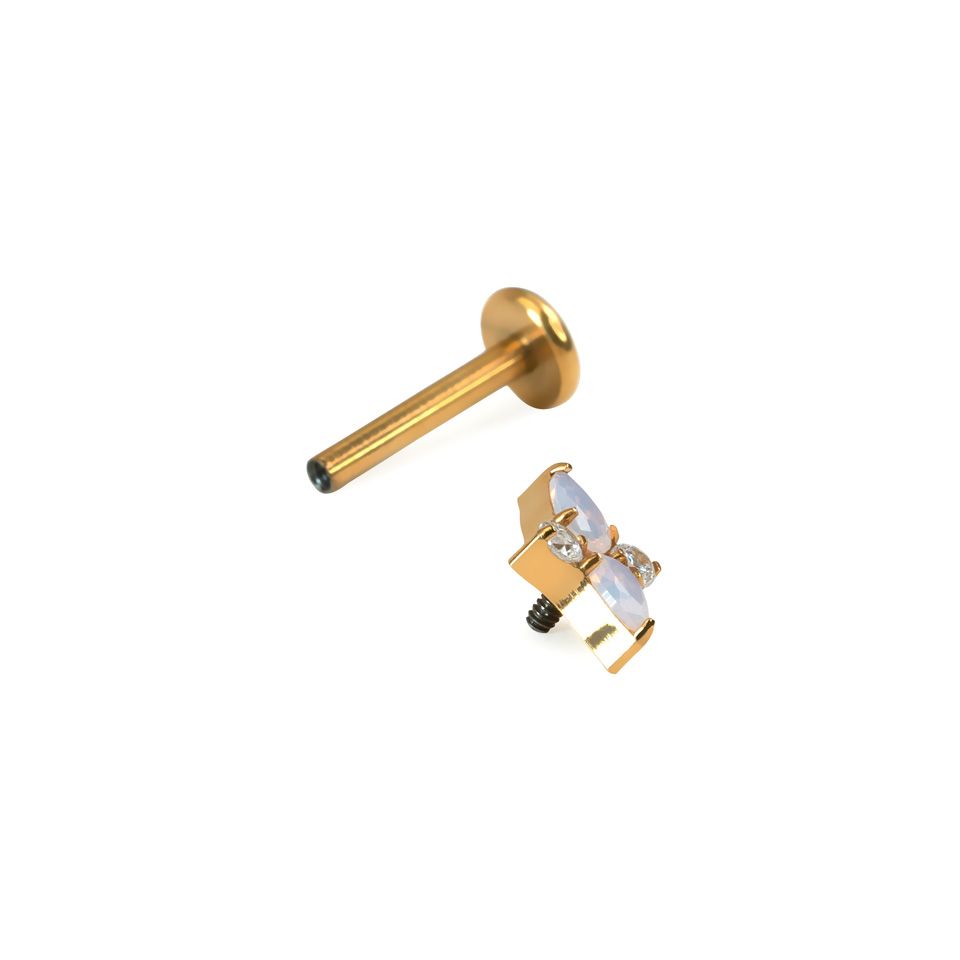 Titanlabret med rosa stenar