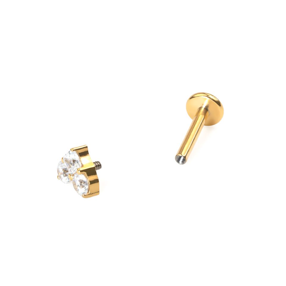 Hjärtformad titanlabret med stenar