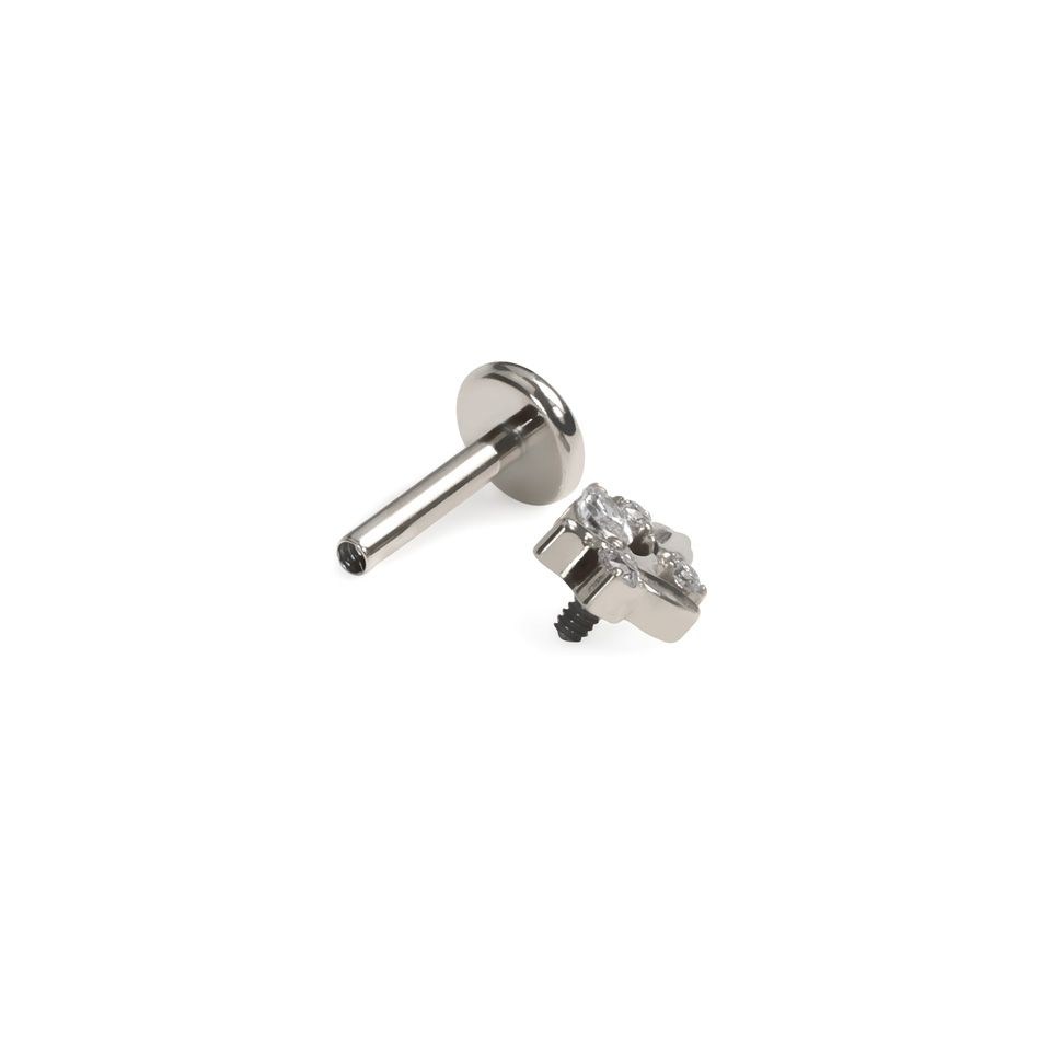 Titanlabret med löv och stenar