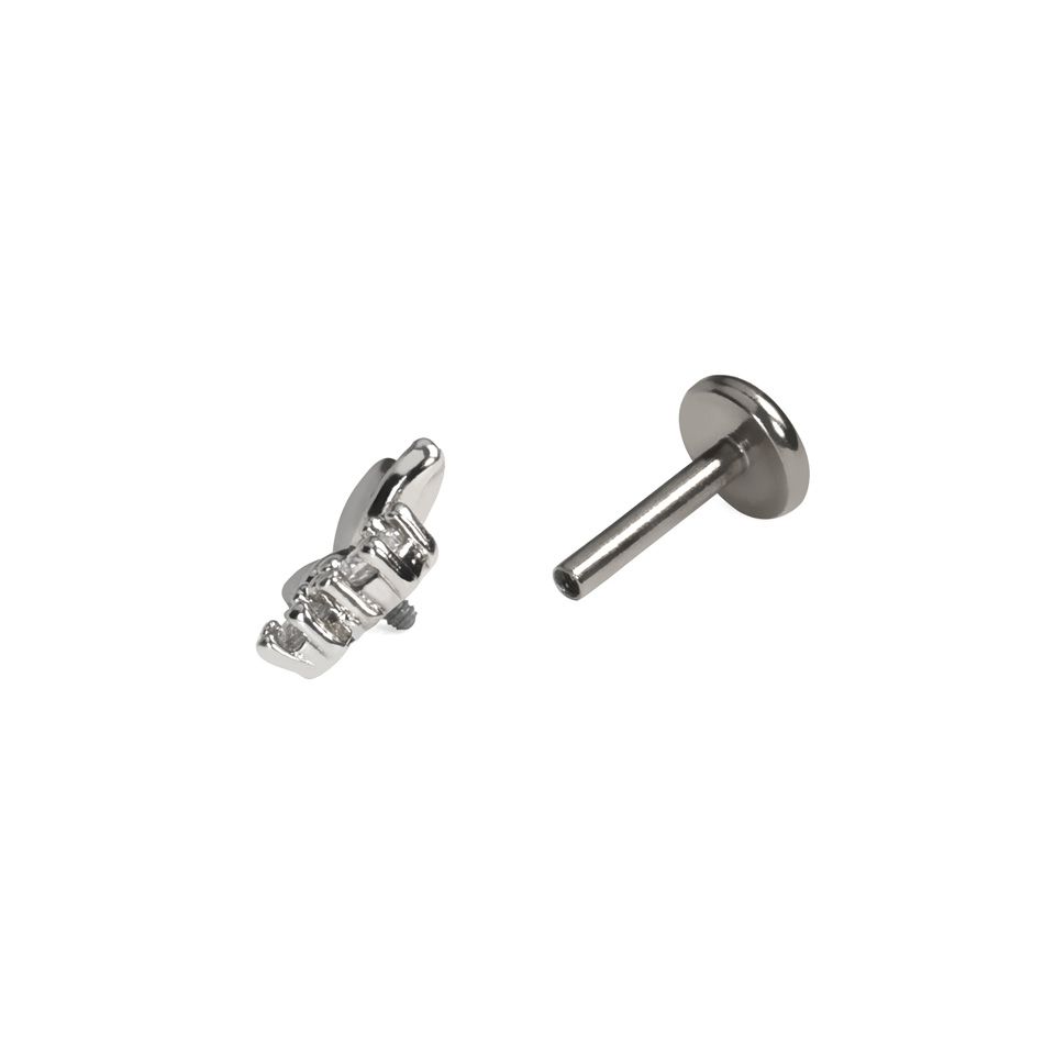 Labret med fjäril och stenar