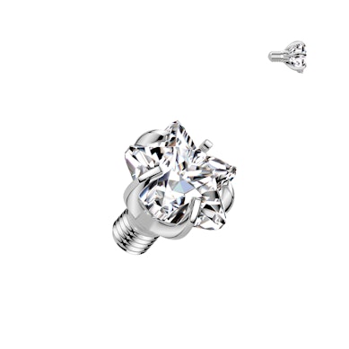 Dermal topp i titan med stjärnsten