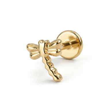 Labret i titan med trollslända