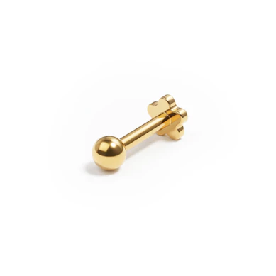 Titanlabret med blommig baksida