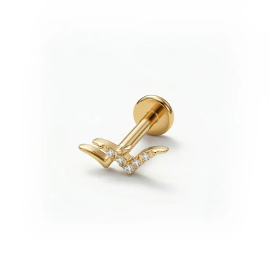 Titanlabret med fåglar