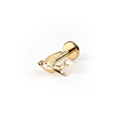Titanlabret med svala