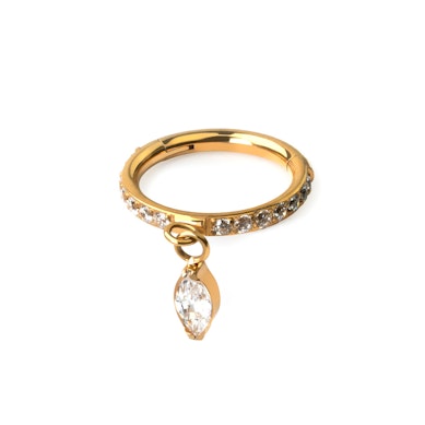 Ring i titan med gångjärn och marquise-stenar