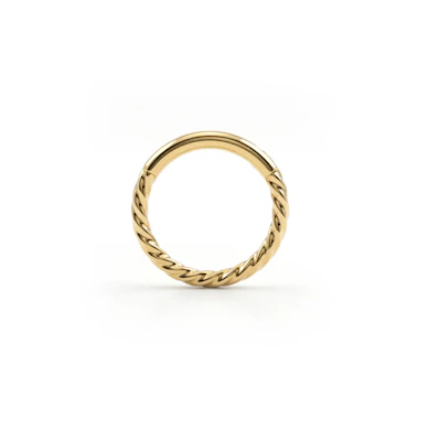 Tvinnad titanring