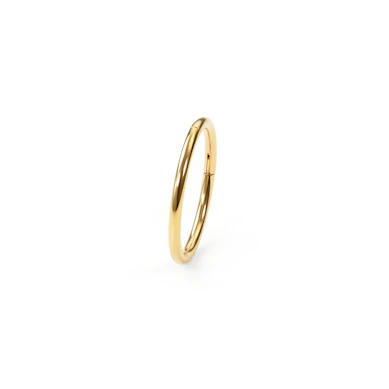 24k guldpläterad titanring
