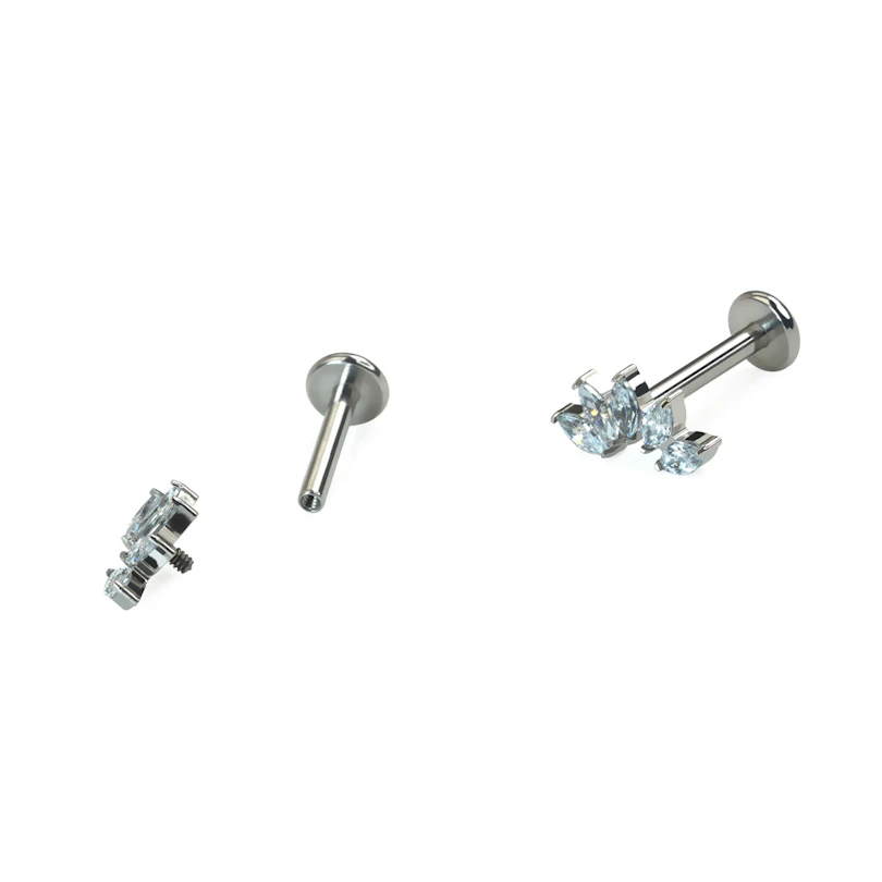 Böjd labret i titan med 5 stenar