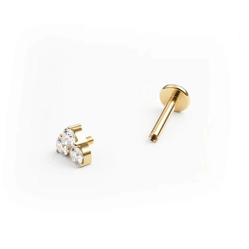 Hjärtformad titanlabret med stenar