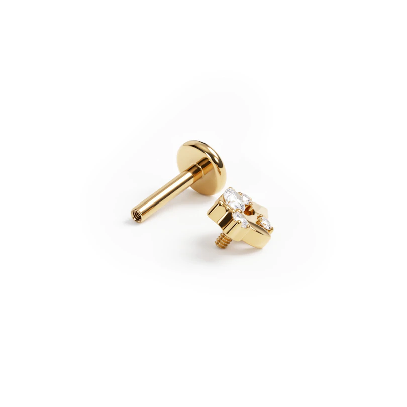 Titanlabret med löv och stenar
