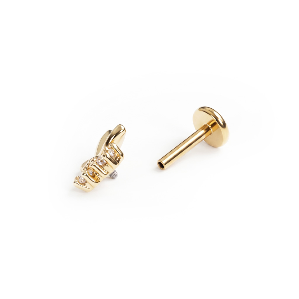 Labret med fjäril och stenar