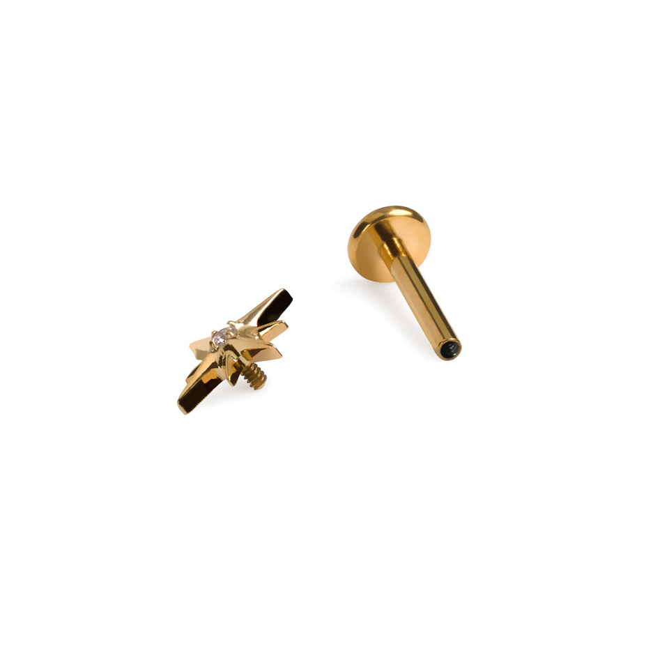 Stjärnlabret i titan med central sten