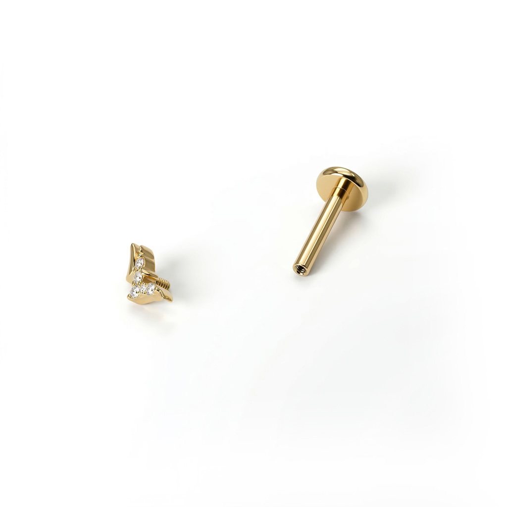 Titanlabret med fåglar