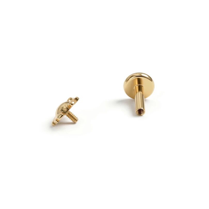 Titanlabret med pingvin