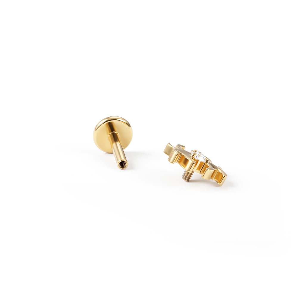 Titanlabret med spindel och små stenar