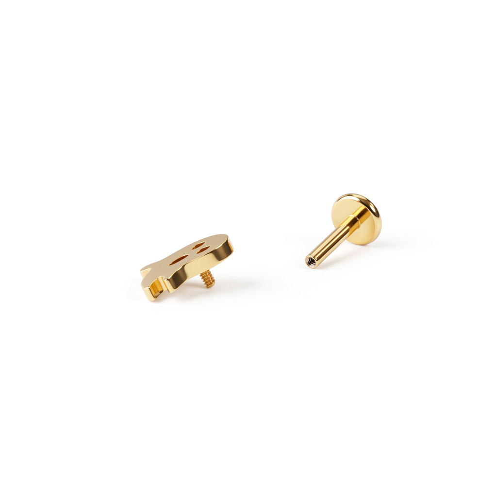 Titanlabret med spöke