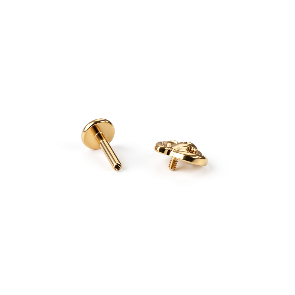 Pumpaformad labret i titan-Guld
