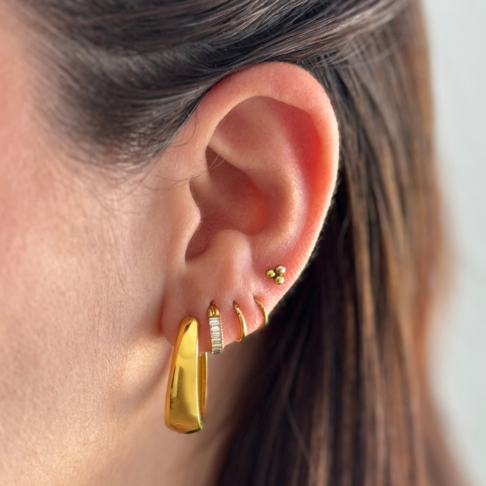 Ett par av ovala örhängen