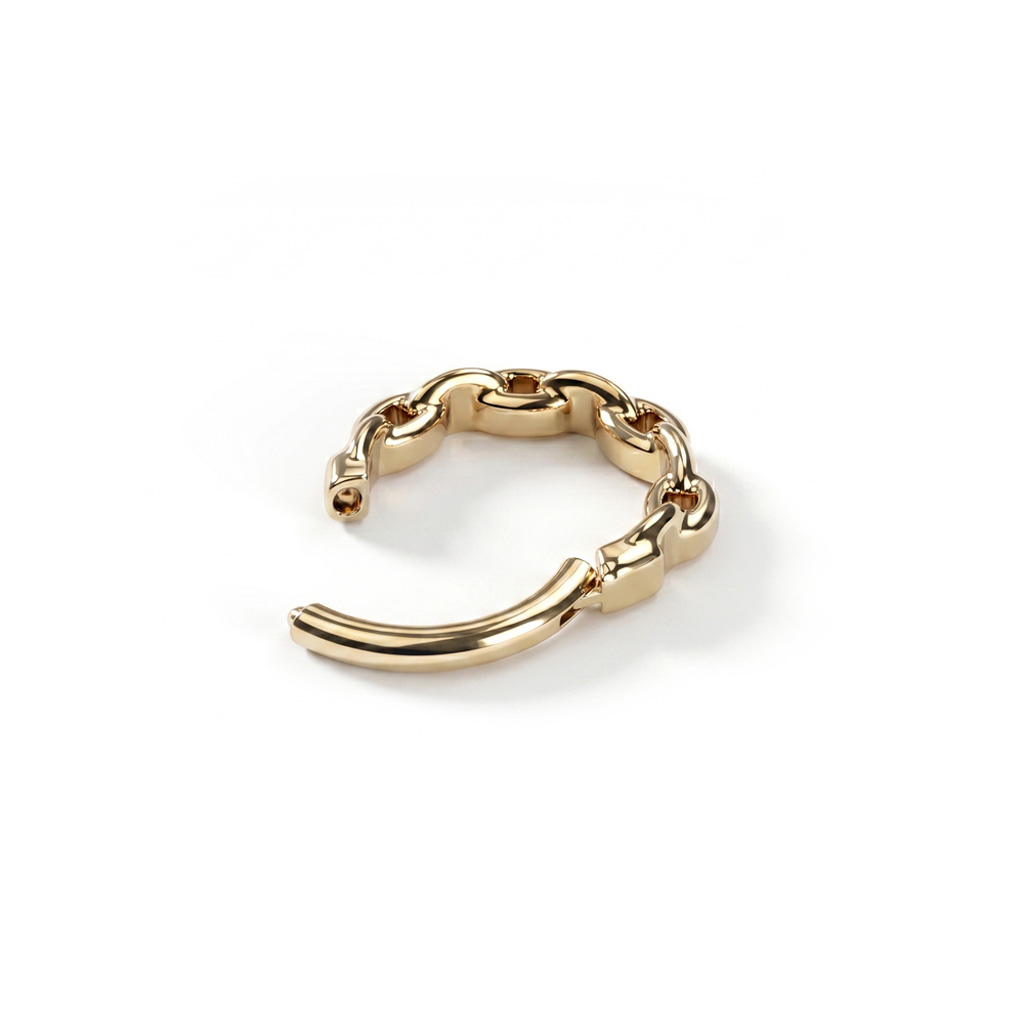 Titanring med kedjedetalj